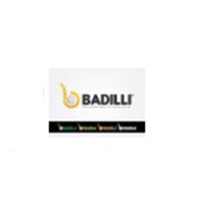 Badıllı Yatırım  Teşvik