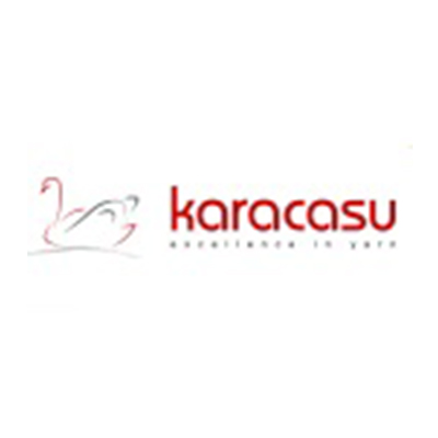 Karacasu