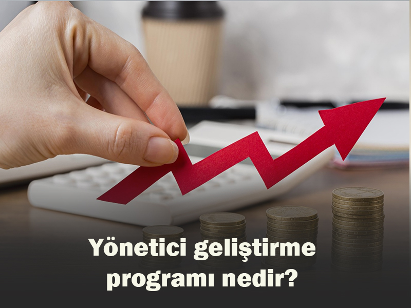 Yönetici Geliştirme Programı Nedir?