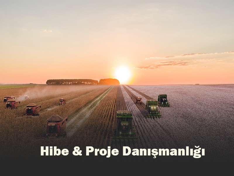 Hibe & Proje Danışmanlığı